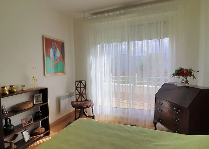 Lumineux Et Spacieux Avec Terrasses Et Ascenseur En Centre-ville De - Fr-1-494-182 Apartment