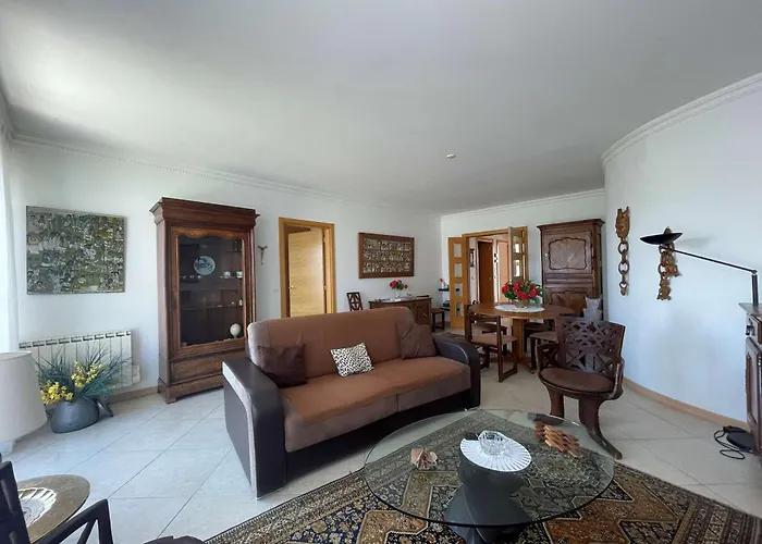 Appartamento Lumineux Et Spacieux Avec Terrasses Et Ascenseur En Centre-ville De - Fr-1-494-182